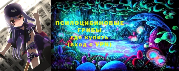 mdpv Белокуриха
