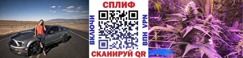 Бошки Шишки конопля  Удачный 